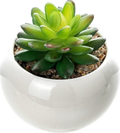 Mini Plant Artificial Flowers Decoration – Add Beauty to Your Space Effortlessly